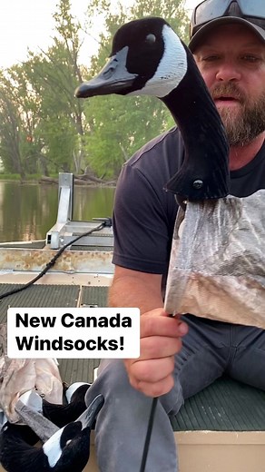 Checking out the new Canada Goose Windsocks! They’re the real deal folks…..White Rock Decoys #whiterockdecoys | White Rock Decoys