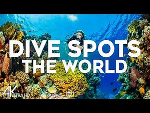 Top 10 Best Dive Spots in the World - Travel Guide 2026
