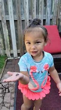 Petting a Friendly Toad 🐸