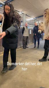 Et lille indblik i hvad der sker, når jeg underviser mine elever i dyretelepati og energi arbejde 🧠 Her er en af mine dygtige elever i gang med at hjælpe en rytter med hendes hest. Jeg står og superviserer hende og healer hesten imens 🌸 Der er 2 ledige pladser tilbage på uddannelsen som starter d. 27 januar 2026 👩🏻‍🎓 Kunne det være noget for dig mon⁉️ Du kan læse mere om uddannelsen hos mig her 👉🏻 https://www.ditteyoung.dk/uddannelse/ 𝑲𝒏𝒖𝒔 𝑫𝒊𝒕𝒕𝒆 𝒀𝒐𝒖𝒏𝒈 #dyretelepati #energiar