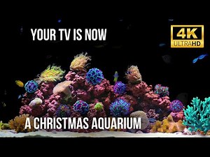 🐠 12 Hours of Cozy Aquarium 4K | Natural Water Sounds & Coral Beauty