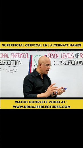 Superficial Cervical Lymph Nodes Alternate Names