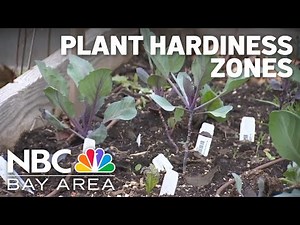 Understanding plant hardiness zones