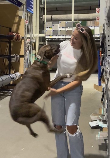 My Dog Graduates from Training School: A Proud Moment