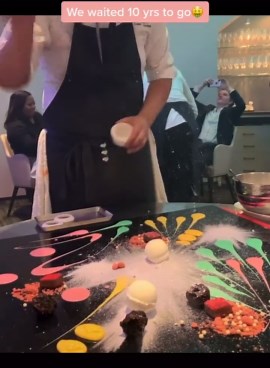 Fine Dining Experience at Alinea | Best Restaurant in the World