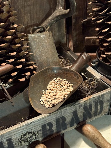 Old General Store Grain Scoop Witch Kitchen * Farmhouse * Barn * Cabin in the Woods Decor - Etsy Canada