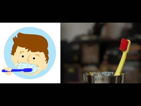 Toothbrush Usage and Maintenance Tips ..............😊