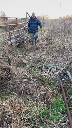 Moving gates for a winter corral. Some days are slower during this season, time to do catch up things like this. #Kentuckyfarmlife #farmlife #barnlife #barn #farm #countryliving #kentucky #barnanimals #farming #farmer #gates #cow #cows #cattle #kyproud Kentucky Department of Agriculture | Kentucky Farm Life