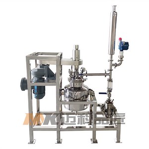 [Hot Item] 5L Lab Scale Stainless Steel Pyrolysis Bioreactor Reactor Without Condenser