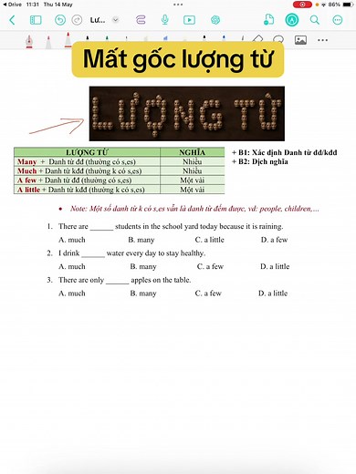 Lượng từ trong tiếng Anh: cách dùng many, much, a few, a little (2026)