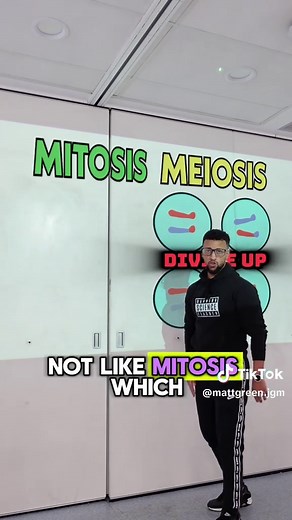 Understanding Meiosis: A Guide for Biology Students