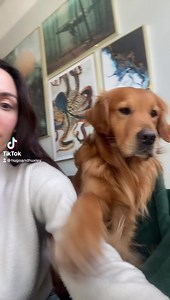 356K views · 3K reactions | Hugo and Ursula on Reels | Facebook