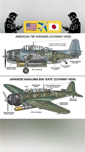 American TBF Avenger & Japanese Nakajima B5N (Cutaway View) #shorts #military #army #militaryquarter