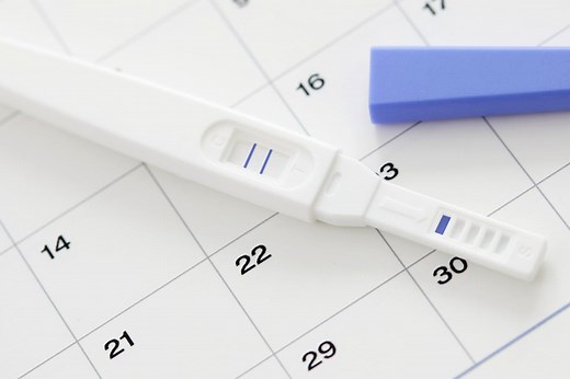 Calcul d’ovulation : bien calculer la période d’ovulation