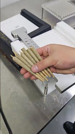 Semi-Automatic Pre-Roll Machine | Fill 100 Cones at Once! 🌿🚀