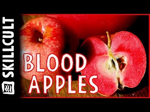 Etter's Blood Apples, Unique, Beautiful, Tasty, Red Flesh w/ Red Flavor, Grenadine, Rubaiyat,
