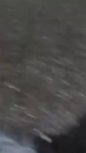 Doncaster would-be burglars arrested 🚔 | Yorkshire Live