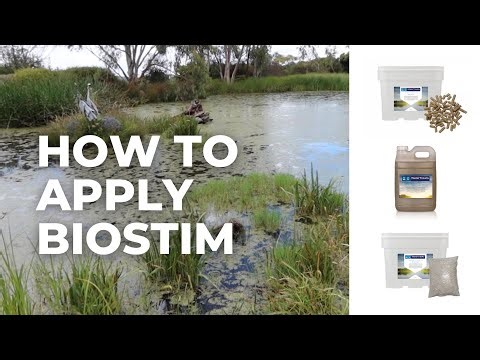 How to Apply Biostim to Dam Water