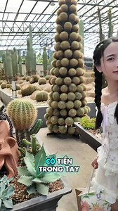 TIỂU SỬ BÀ CHỦ LÀNG NONG NOOCH PATTAYA, THÁI LAN 🌺✨ Làng NongNooch Pattaya không chỉ là một điểm đến du lịch nổi tiếng mà còn gắn liền với câu chuyện thành công đầy cảm hứng của bà chủ Nong Nooch Tansacha. Bà là người sáng lập và điều hành khu vườn thực vật đẳng cấp thế giới này, đồng thời là biểu tượng của sự sáng tạo và quyết tâm trong ngành du lịch Thái Lan. 1️⃣ Hành trình cuộc đời và sự nghiệp Bà Nong Nooch Tansacha sinh ra trong một gia đình nông dân ở Thái Lan, nơi bà sớm gắn bó với thiên