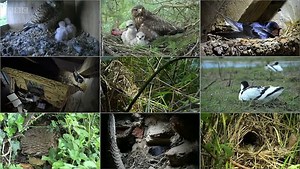 Springwatch episode 1 2021