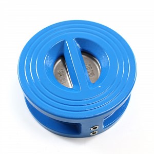 [Hot Item] Check Valve OEM DN50 Water Oil Gas Cast Iron Wafer Type Door Duo Plate Check Valve