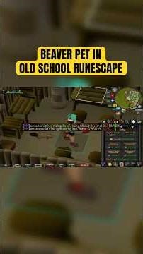 Getting the Beaver Pet in Old School Runescape