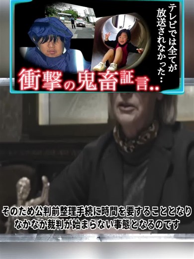 [6/6] 胸糞注意｜あまりにも無責任な行動…裁判前に明かされた衝撃の告白とは？東金市女児殺害事件 #謎 #FBI #事件 #fyp #tiktokviral #ミステリー #都市伝説 #ニュース