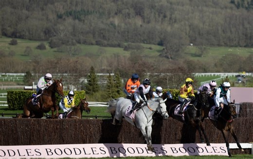 Cheltenham Festival: Ruby Walsh & Rory Delargy's Lucky 15