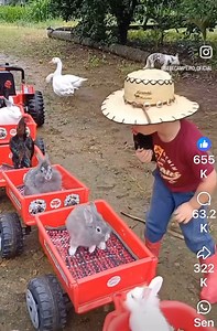 75K views · 1K reactions | 殺 Nothing better than seeing this again after a long week. It always makes my heart so happy! follow: bebecampero_official on IG | The Kelly Williams TV Show | Facebook