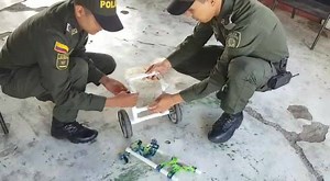 2.5M views · 29K reactions | Una enfermedad degenerativa en sus patas traseras le impede caminar a Lupita. Una silla de ruedas y la adopción han cambiado su vida, Ahora hace parte de la estación La Plata en Huila. | Policía Nacional de los Colombianos | Facebook