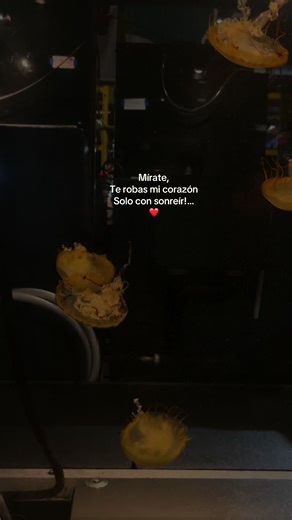 Culpable de Robar Corazones con Alta Consigna