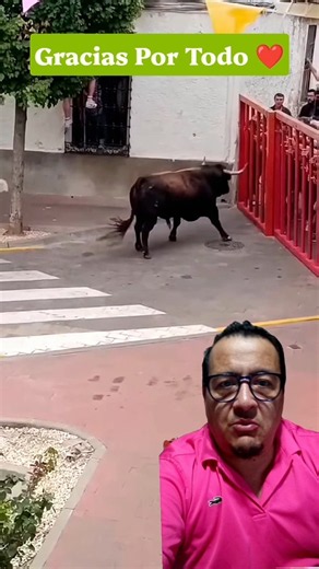 El Toro Bravo Golpea La Barrera Con Fuerza. #torosbravos #bull @ExpoVideo