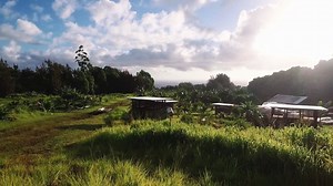 20K views · 21 reactions | WWOOF-USA offers educational opportunities on 2,300+ organic farms across the USA! Receive free room and board, travel the country, and learn about organic farming. | WWOOF-USA | Facebook