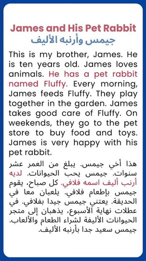 I Bought My Pet Rabbit A Wheelchair