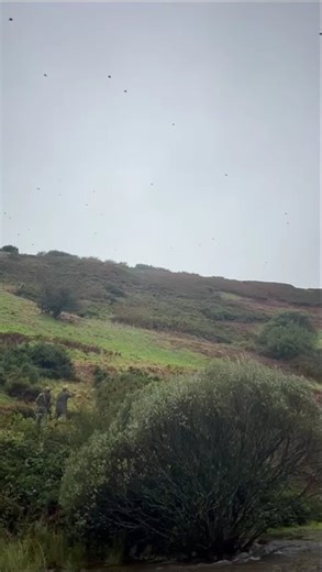 Loyton Sporting: Challacombe Bray Valley Shooting Experience