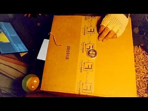 Fish Vault Unboxing July 2025