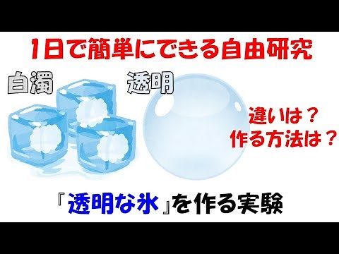 【自由研究】1日で簡単にできる!!透明な氷を作る実験。小中学生にオススメ。【光】【反射】
