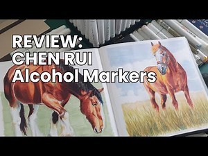 Check out this Cheap Ohuhu Alternative for coloring | Chen Rui Alcohol Markers Review