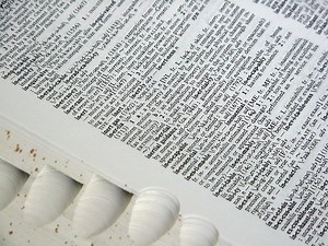 Definition of Homographs (with examples)