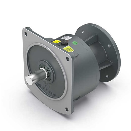 WANSHSIN GH Series Three Phase Horizontal Vertical Motor Speed Reducer High Torque Low Rpm AC Gear Motor with Speed Controller