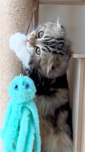 [Look-back] 🐈I've gotta rescue this alien! Elle video No.L241
