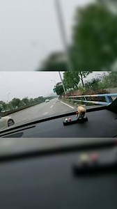 【2024-11-03 13点场】Tony托公子：冷锋揭开非常庄园神秘面纱！！！