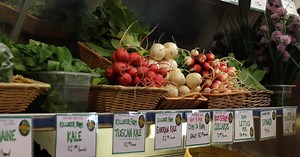 The Local Motive:Distribution