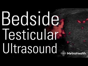 Bedside Testicular Ultrasound