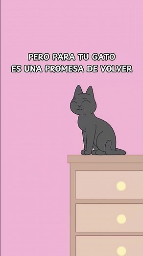 Tu gato espera TODO el día por esto 🐈 #gatos #gato #gatitos
