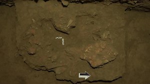 Early human remains reshape migration views