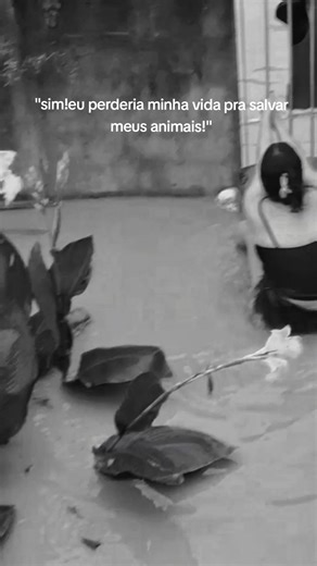 Atenção: Tutor do Animal Pede Que Vídeos Sejam Removidos