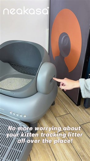 Effective Solutions for Cat Litter Box Issues