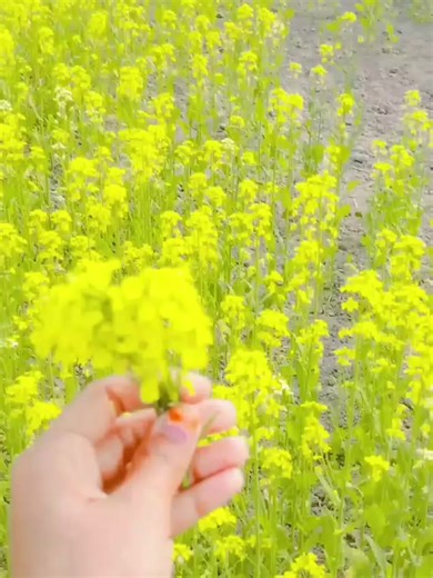 🥰Pakhi moni🥰 (@pakhi888222)’s videos with original sound - 🥰Pakhi moni🥰