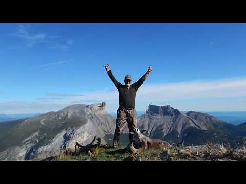 EPIC 39 DAY STONE SHEEP HUNT! "On the trail of Chadwick"